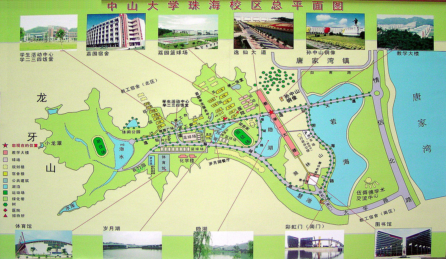 含羞草
珠海校区地图